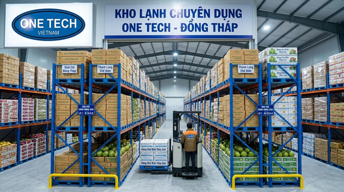 Kệ kho lạnh Đồng Tháp cho nông sản đóng thùng và thực phẩm bảo quản mát
